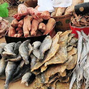 Markt in Huanan
Fisch oder Schweinepfote?
(9760)