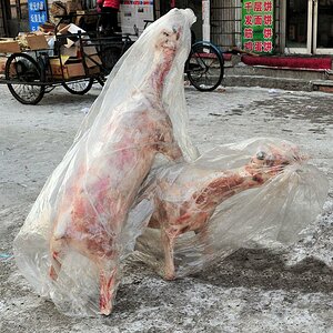 Hammelsprung
Markt in Huanan, Hammel im Plastiksarg
(9825)