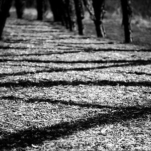 Kreuzweg 17.04.2010