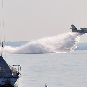 wf 1 DSC 1743