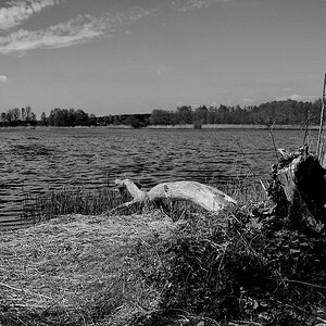 Usedom 27