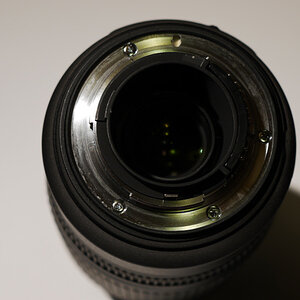 Nikkor AF S 70 300 G VR (5)