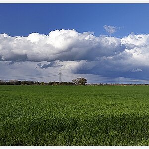 DSC3812 nff