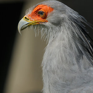 FX 200 500 ISO6247 1