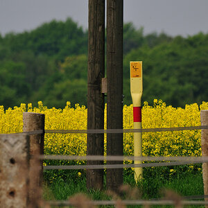D300 200 500  DSC 0938