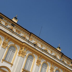 DSC 9619