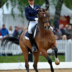 06 pferd internatio