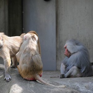 Familie und Grandpa