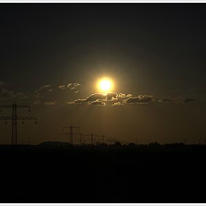 DSC3979 nff