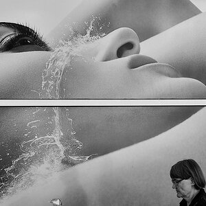 Frisch