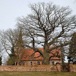 Kirche und Eiche