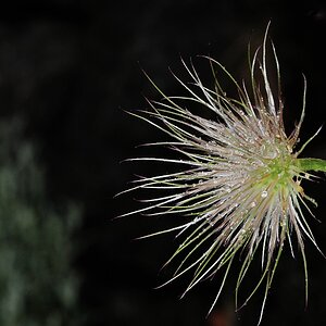 DSC 0475 900
