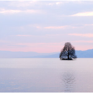 Lac Leman 005