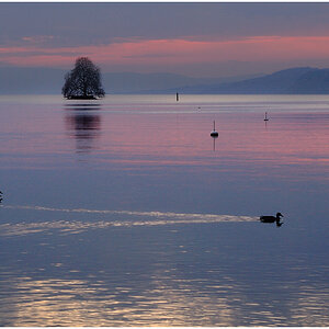 Lac Leman 008