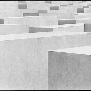 Neg2010 368