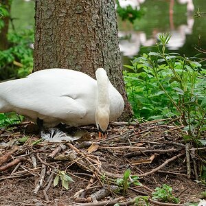 web Vogelpark Abendsberg 100516 4553