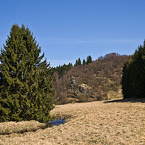 DSC 1717aa