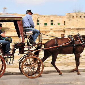 Kutsche in Valletta
(8905)
