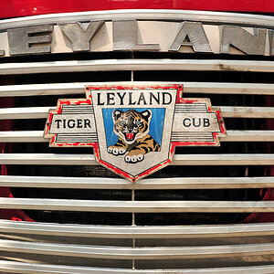 Leyland Bus in Victoria auf Gozo 
(8117)
