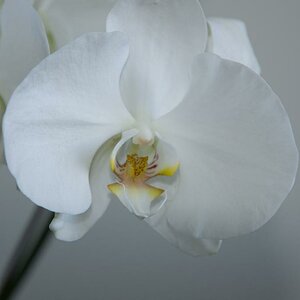 DSC 0006