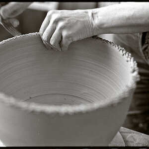 Neg2010 325