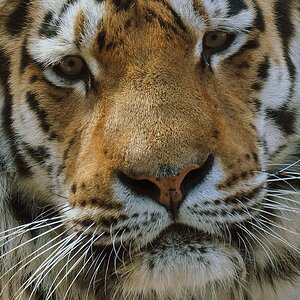 [No title]