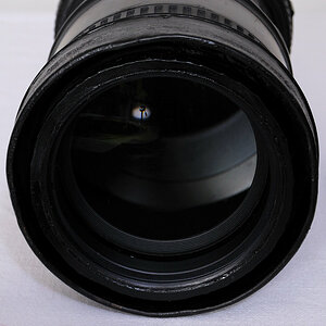 Selbstgebautes 105/5.6 Objektiv für Nahaufnahmen mit Einschnappring für die Befestigung des Nikon Makro Ringblitzes eines MEDICAL-NIKKORs.