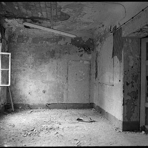 Neg2010 598
