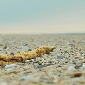 danis strand