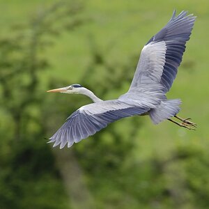 20100518 6422 [NIKON D700]   500 mm  1 320 Sek. bei ƒ   6,3