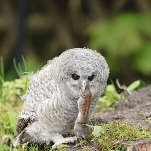 20100519 6813 [NIKON D700]   300 mm  1 320 Sek. bei ƒ   5,6