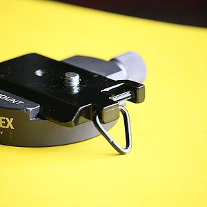 comp IMG 7373