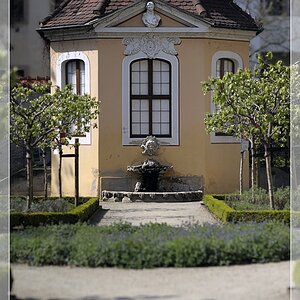 DSC4229 nff