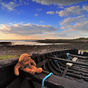 teddy1 edited 1