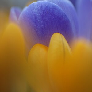 NF B 2010 03 25 17 09 06