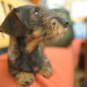 2010 04 16 FM2 Uebergabe Rhens D7C 8705