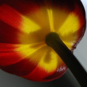NF B 2010 04 02 13 19 19 nx
