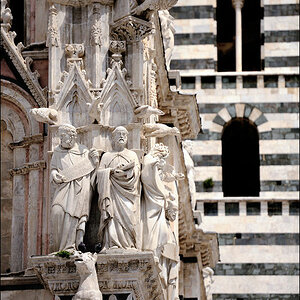 Dom Siena