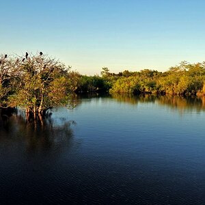 Everglades