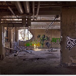 DSC4334 nff