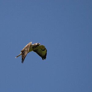 Fliegeralarm 1
