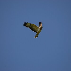 Fliegeralarm 2