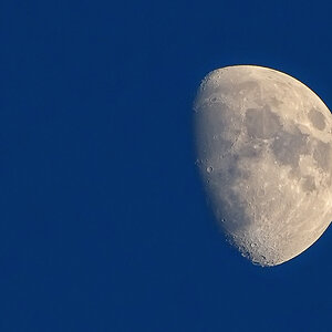 Mond
