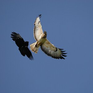 Fliegeralarm 3