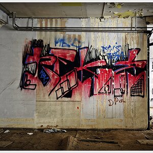 DSC4375 nff