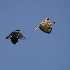 Fliegeralarm 3