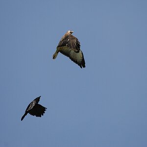 Fliegeralarm 7