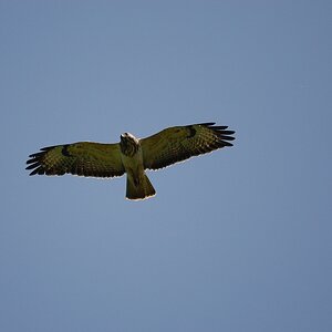 Fliegeralarm 8