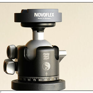 Really Right Stuff BH-40 mit Novoflex Q=mount