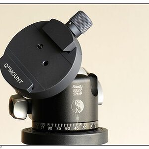 Really Right Stuff BH-40 mit Novoflex Q=mount